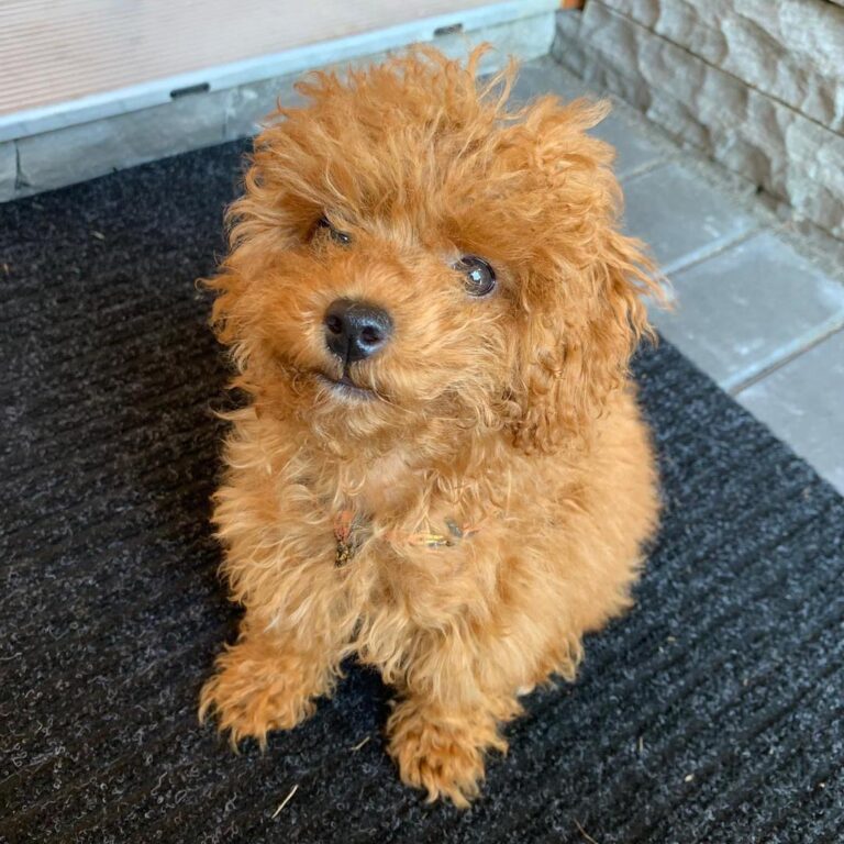 75b79e96-f809-424b-8991-cad57c79335b