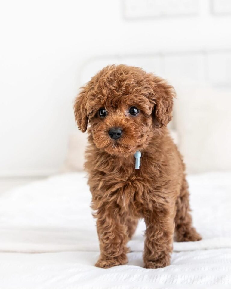 a7250750-b2a4-42ce-a703-7fbdf44bd905