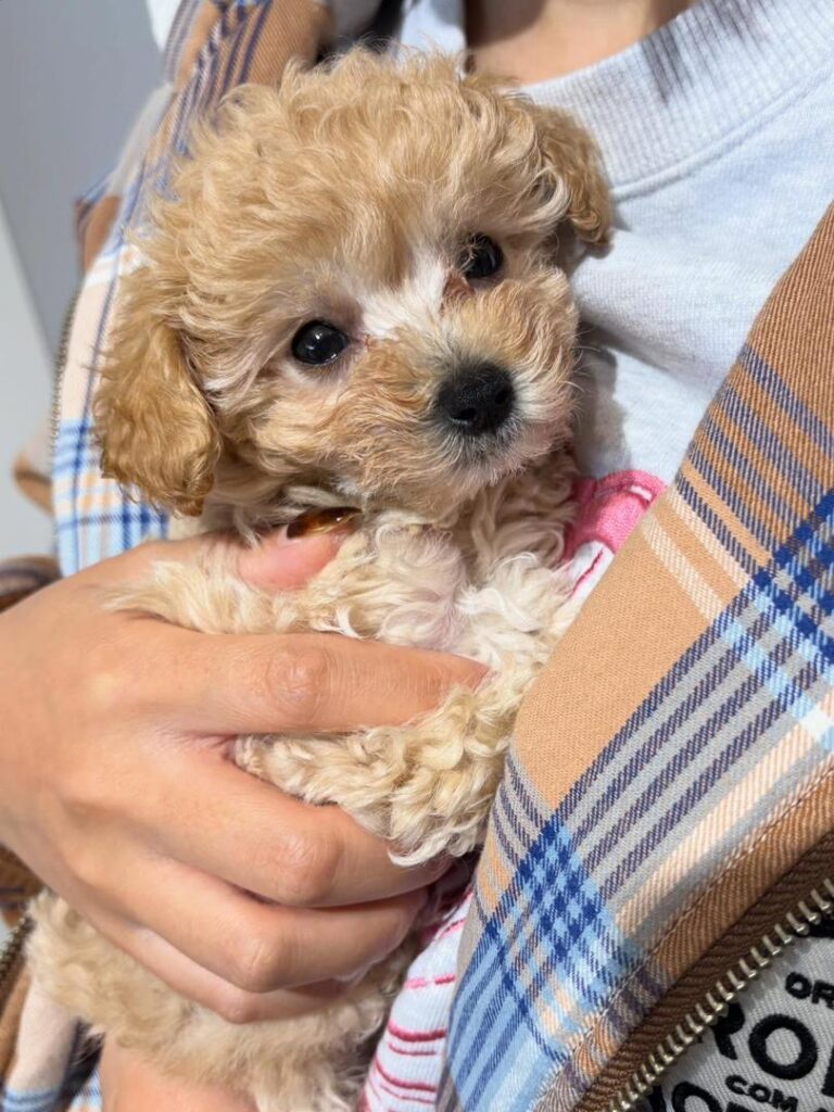 5d7e68a0-1da2-4626-9f6d-a55cf0262a58